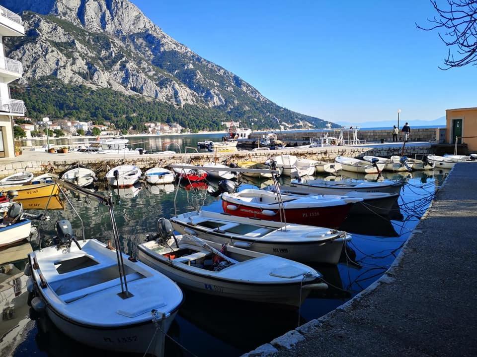 Apartment Ana - Gradac Carnac Ngoại thất bức ảnh